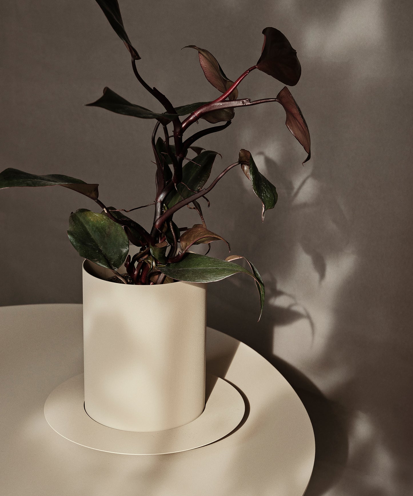 Auran Pot