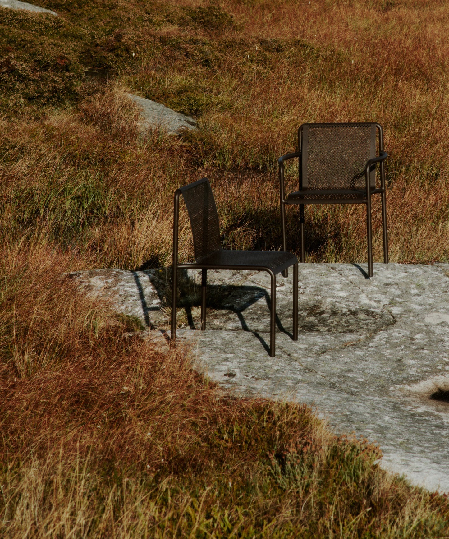 Dapple Chair