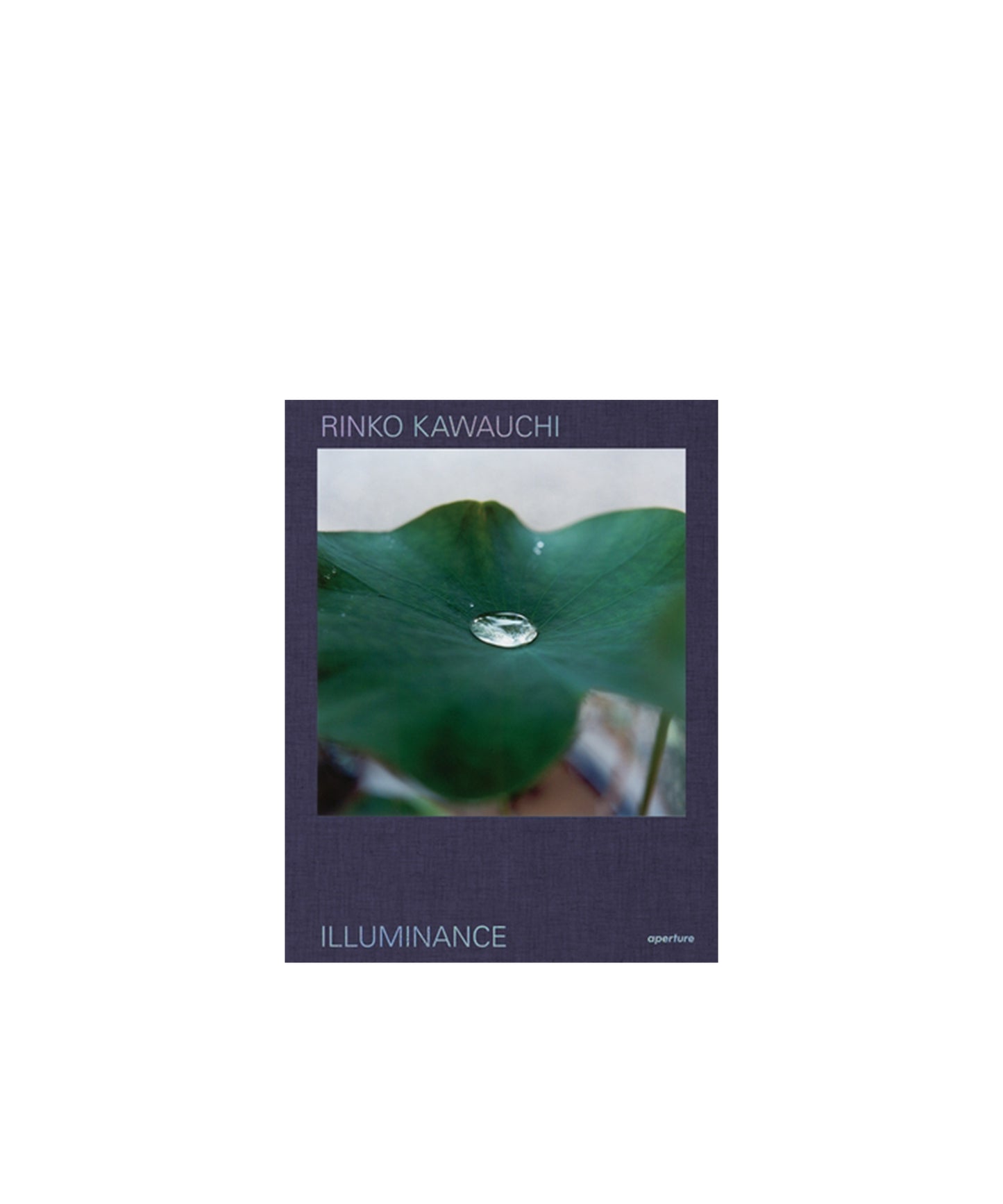 Rinko Kawauchi: Illuminance: The Tenth Anniversary Edition