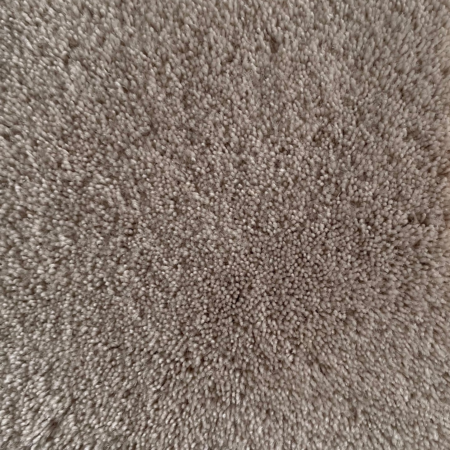 100% New Zealand Wool in Cream