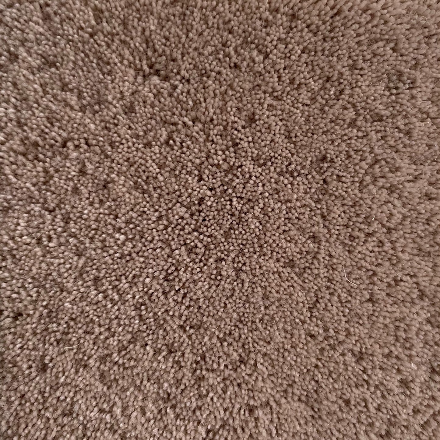 100% New Zealand Wool in Soft Beige