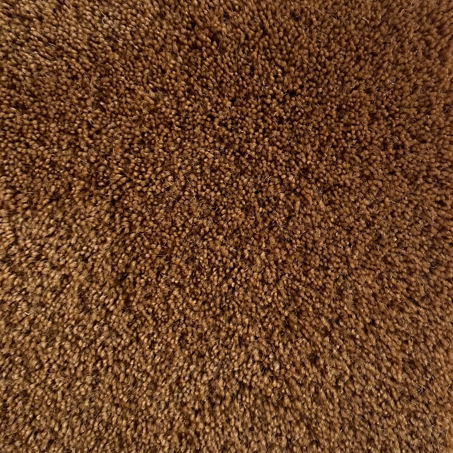 100% New Zealand Wool in Honey