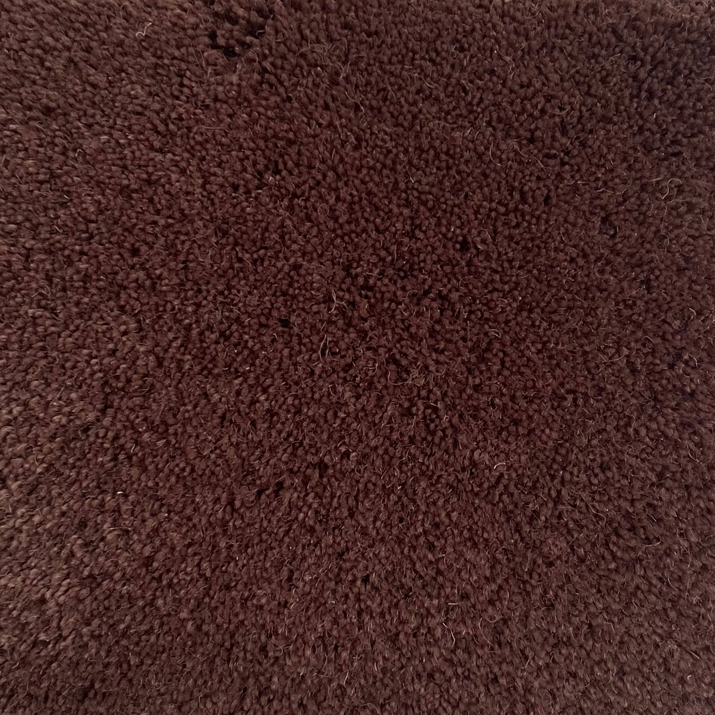 100% New Zealand Wool in Taupe