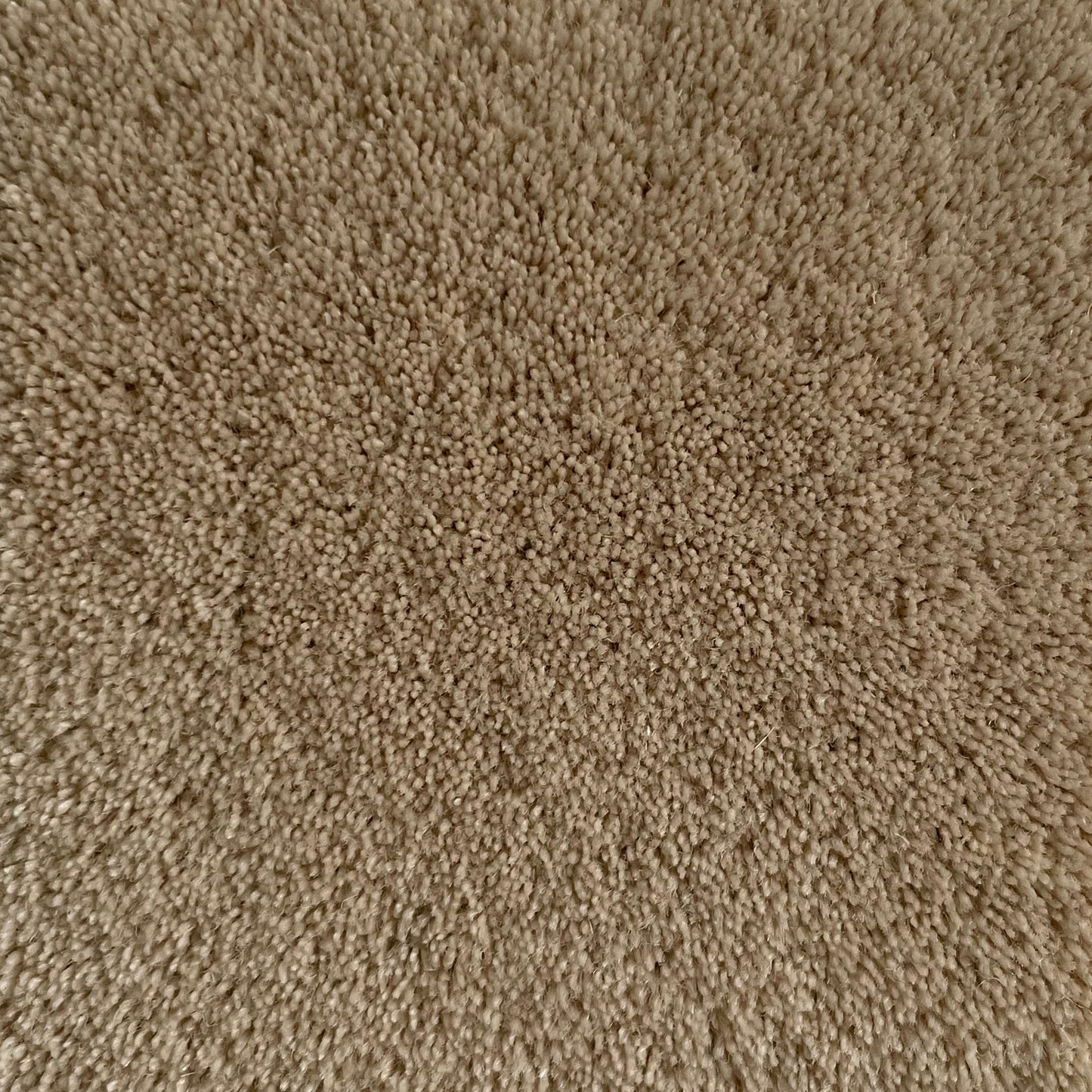 100% New Zealand Wool in Corn