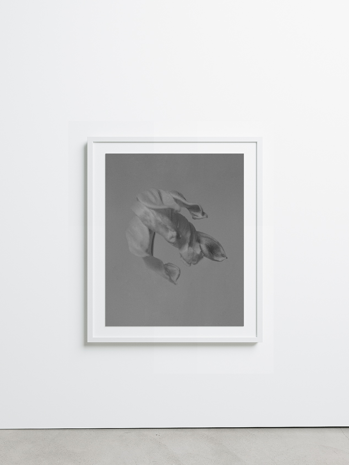 Pierced by Carolyne Loree Teston - Sample