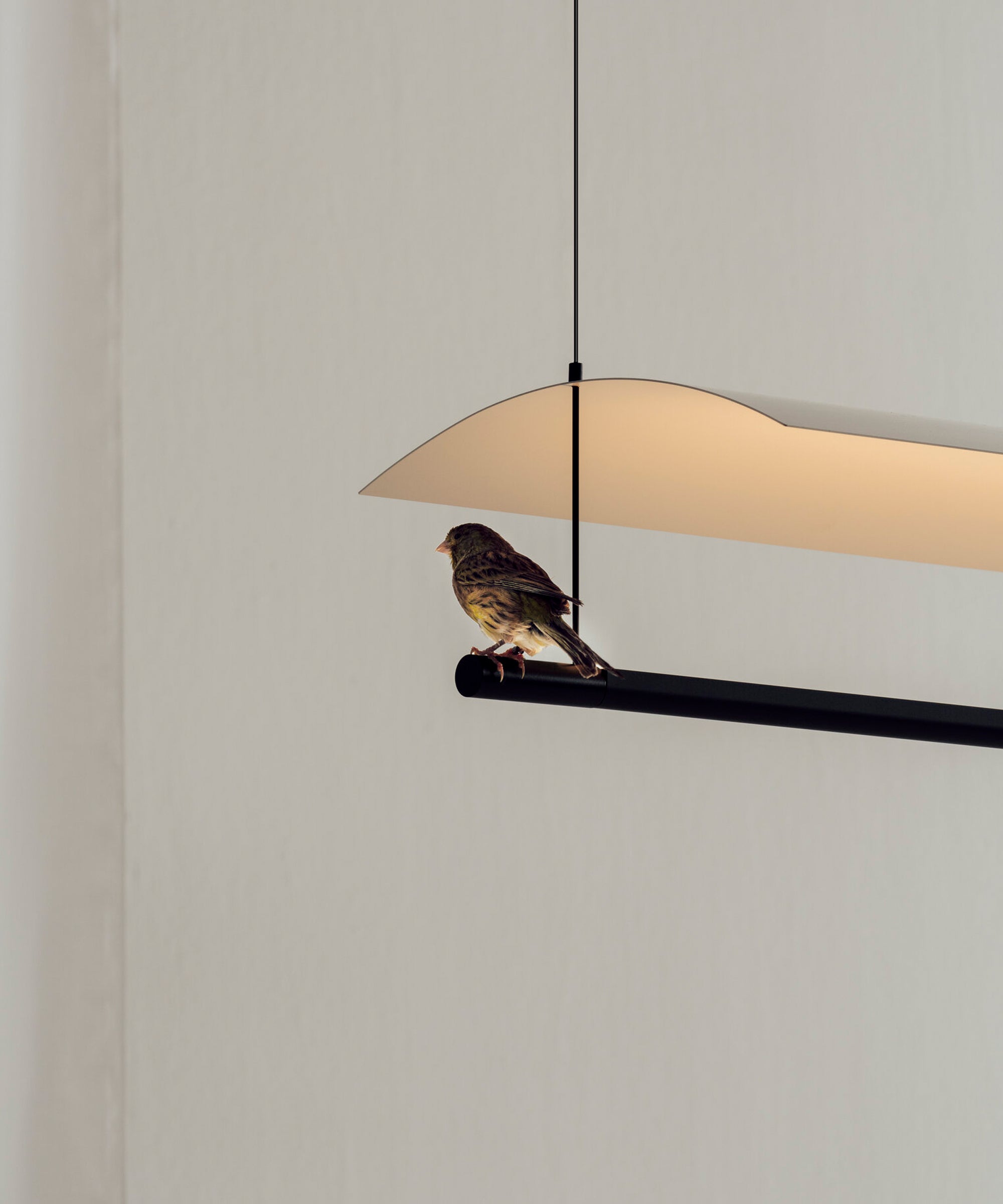 Lamina Pendant Lamp
