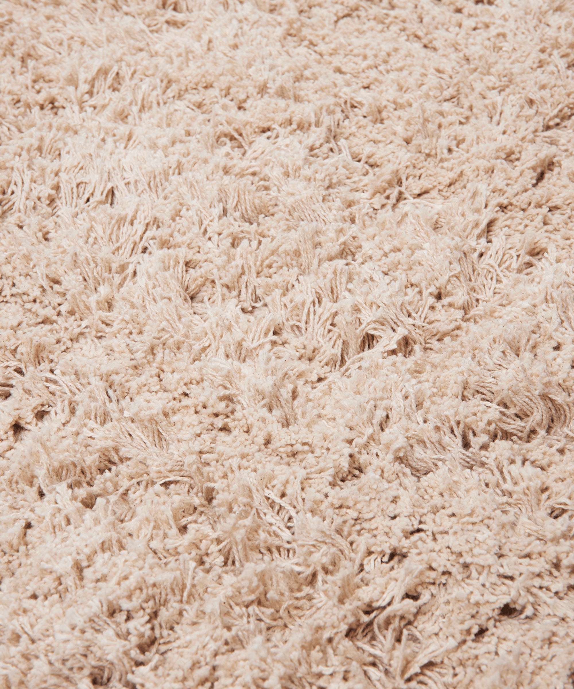 Amass Long Pile Rug