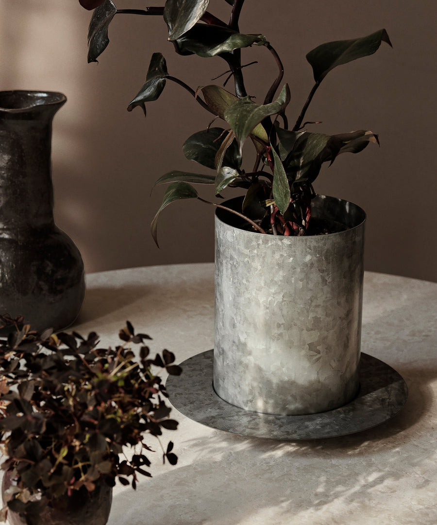 Auran Pot