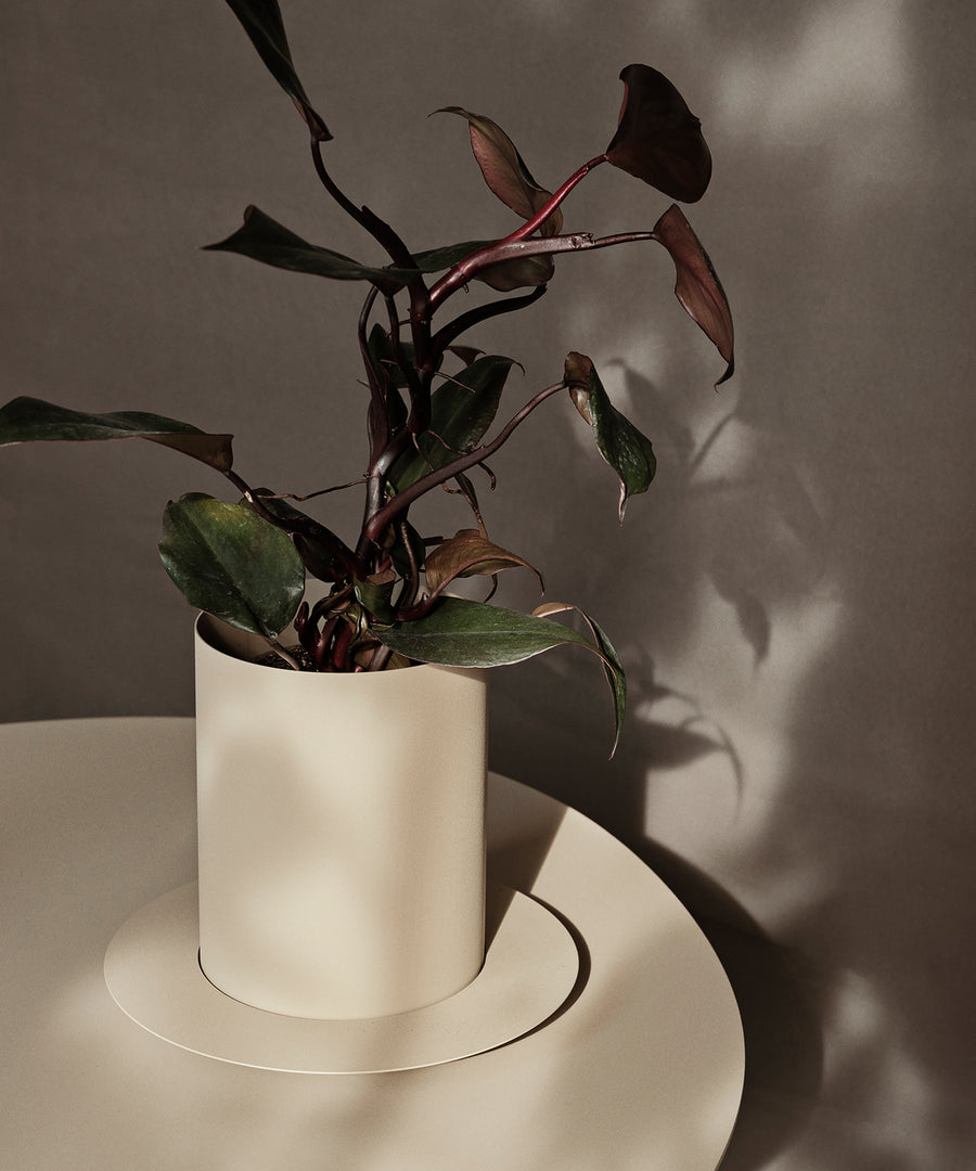 Auran Pot