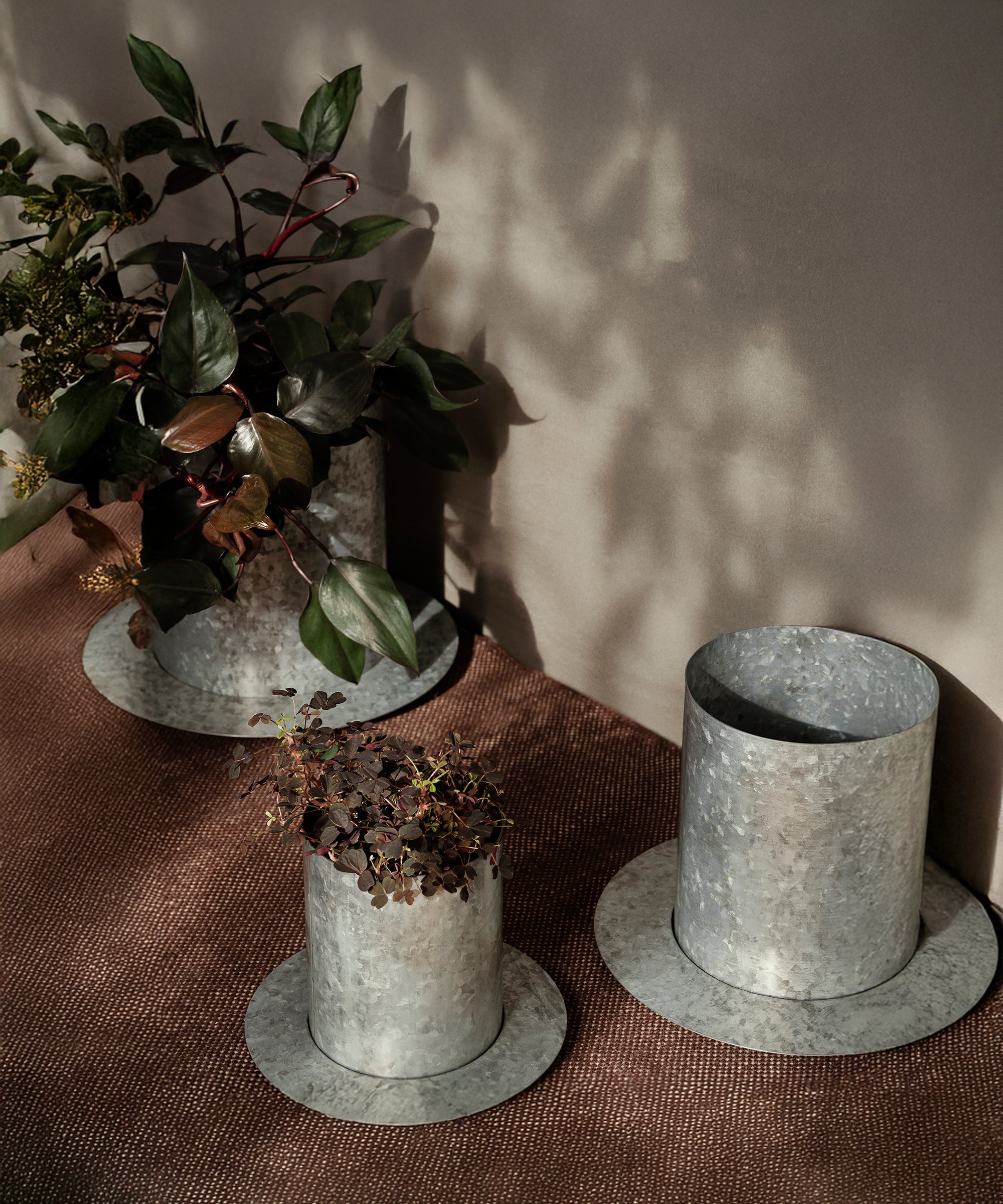Auran Pot