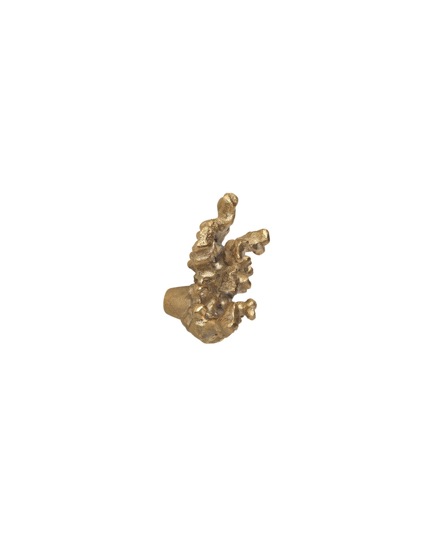 Comber Coral Branch Hook