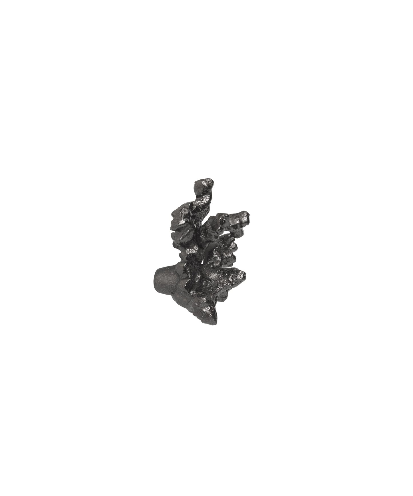 Comber Coral Branch Hook