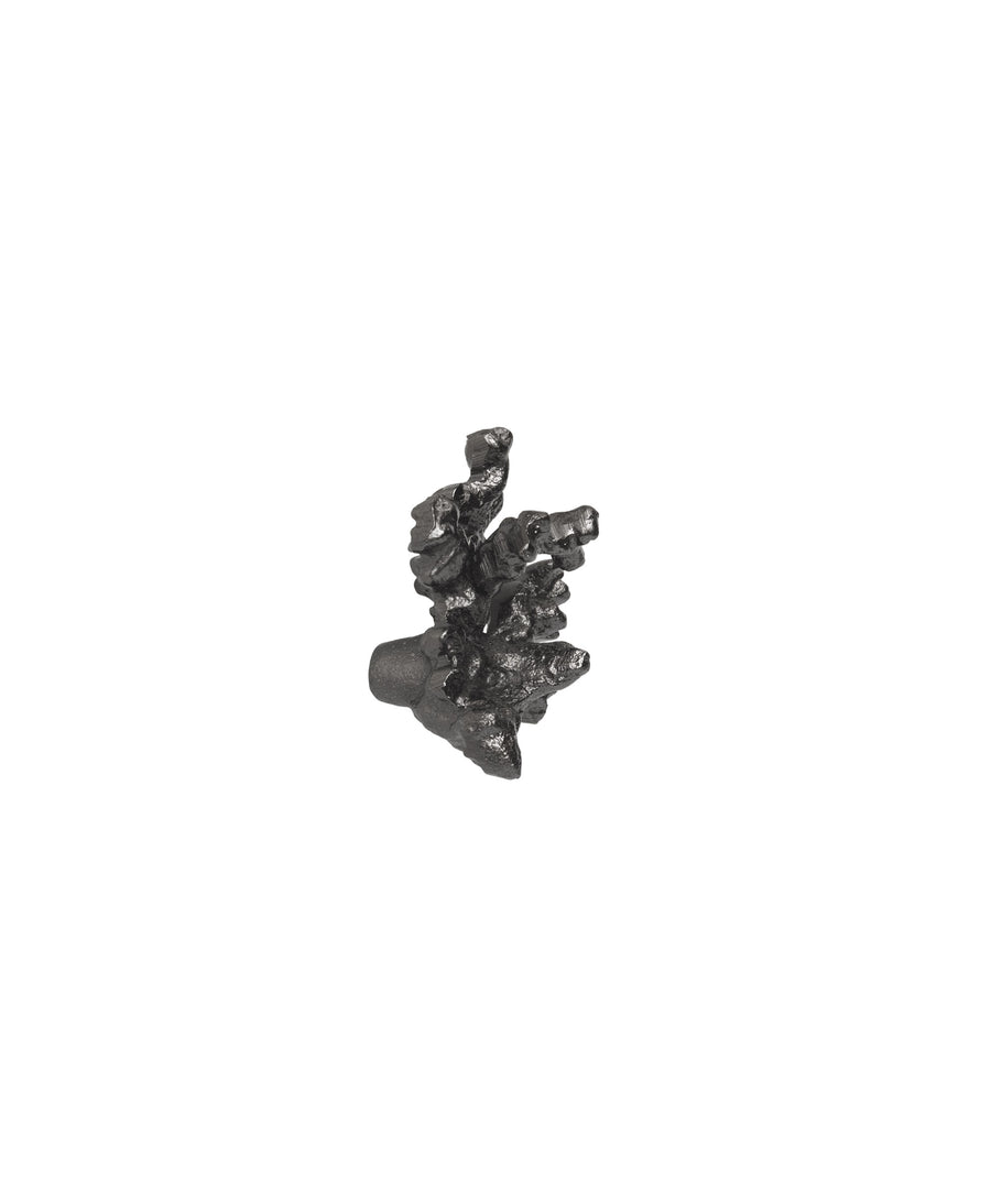 Comber Coral Branch Hook