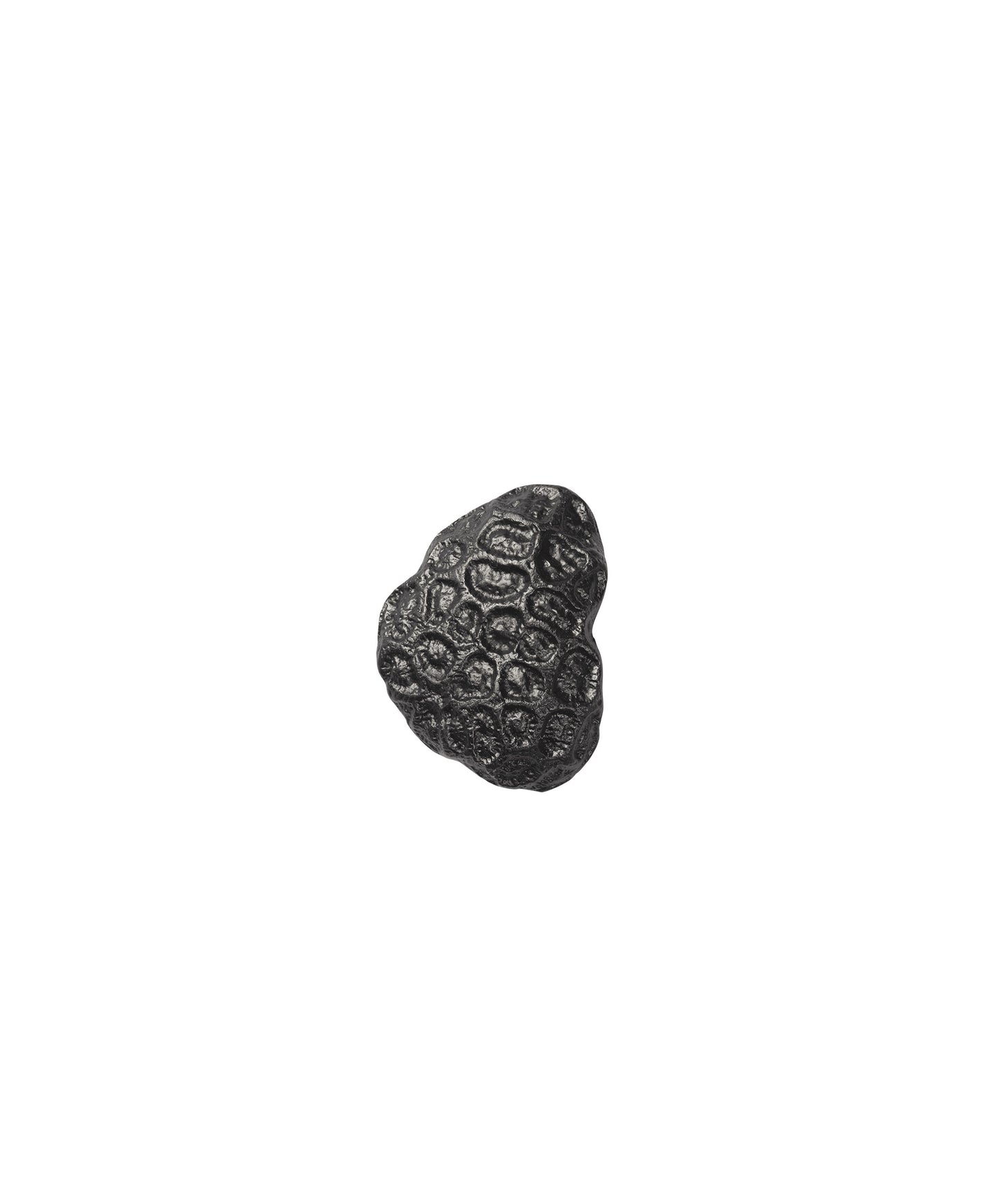 Comber Coral Hook