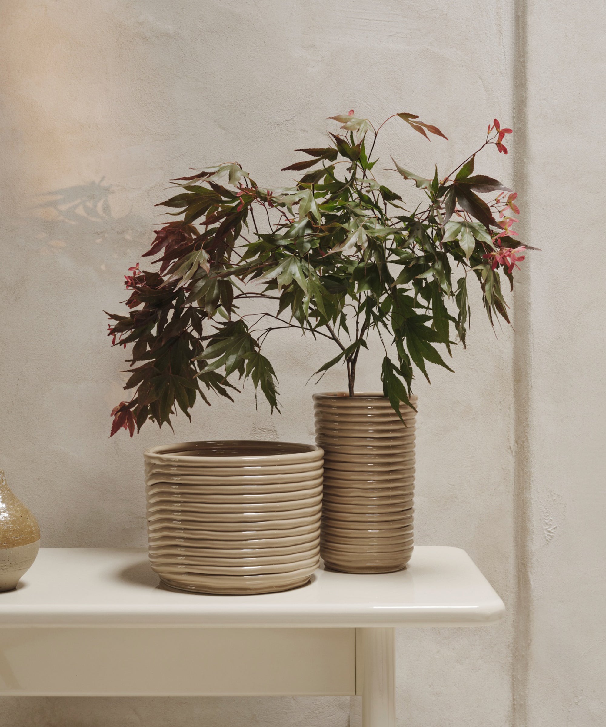 Corduroy Pot