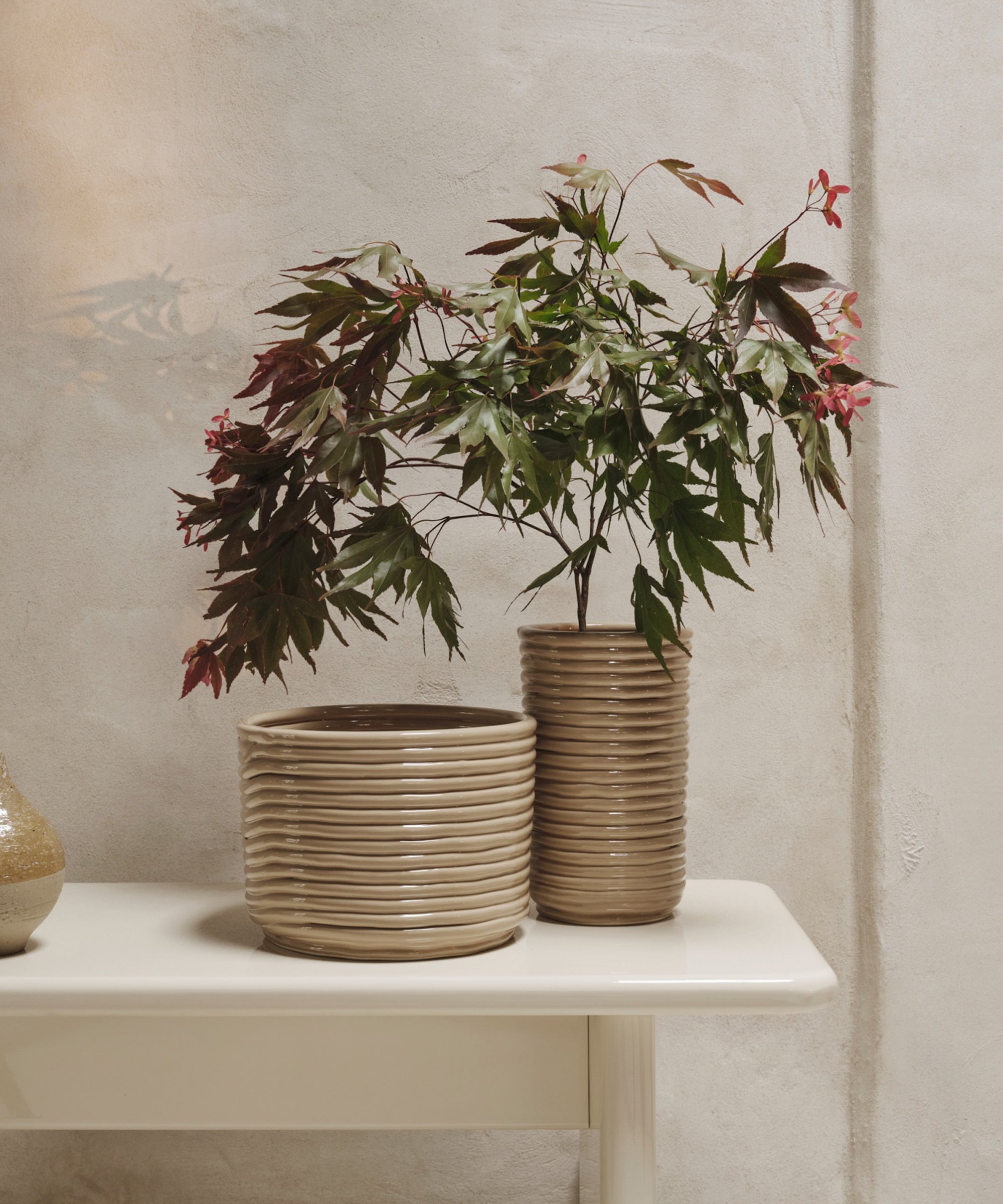 Corduroy Vase