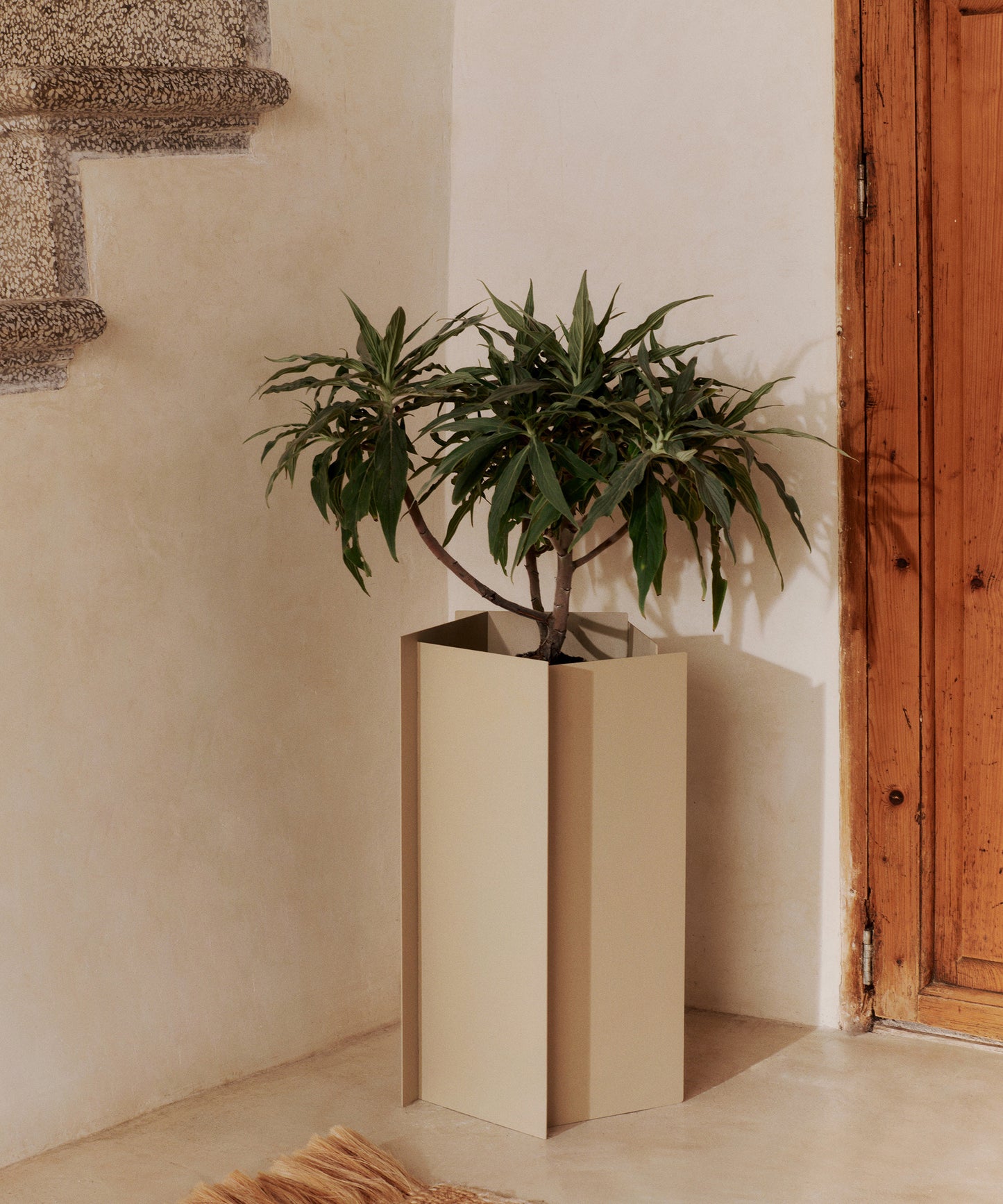 Fragma Planter