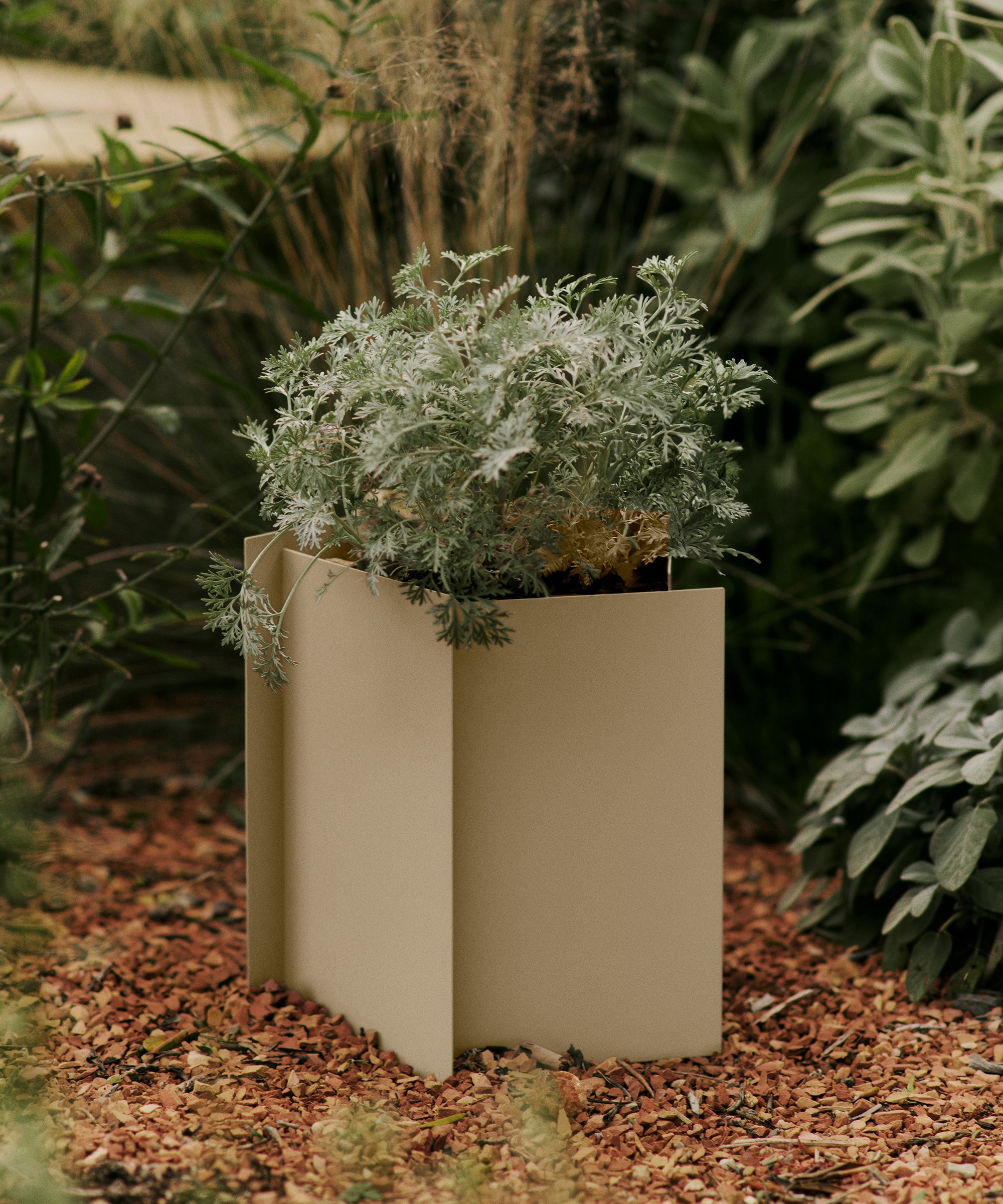 Fragma Planter