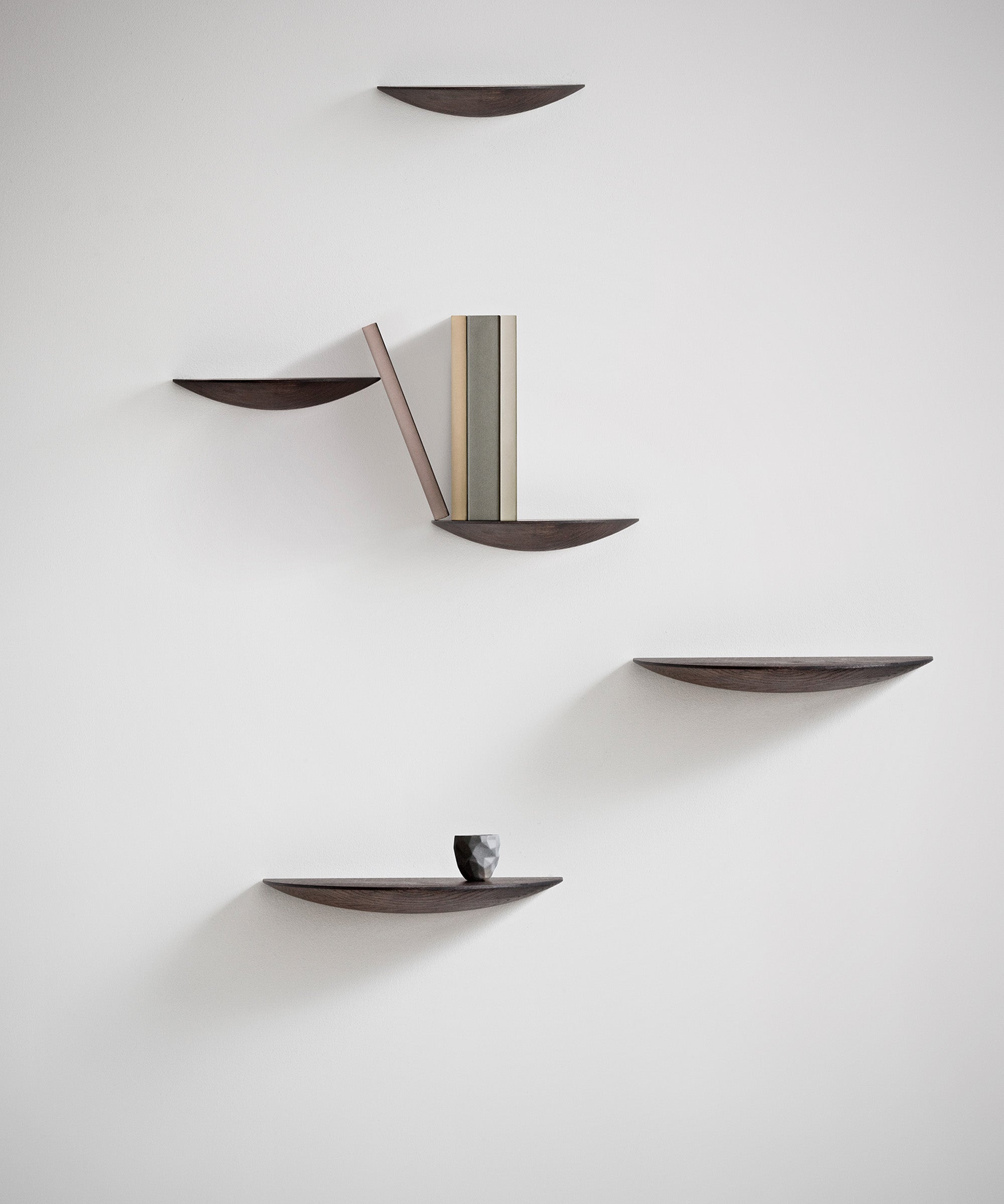 Gridy Fungi Shelf