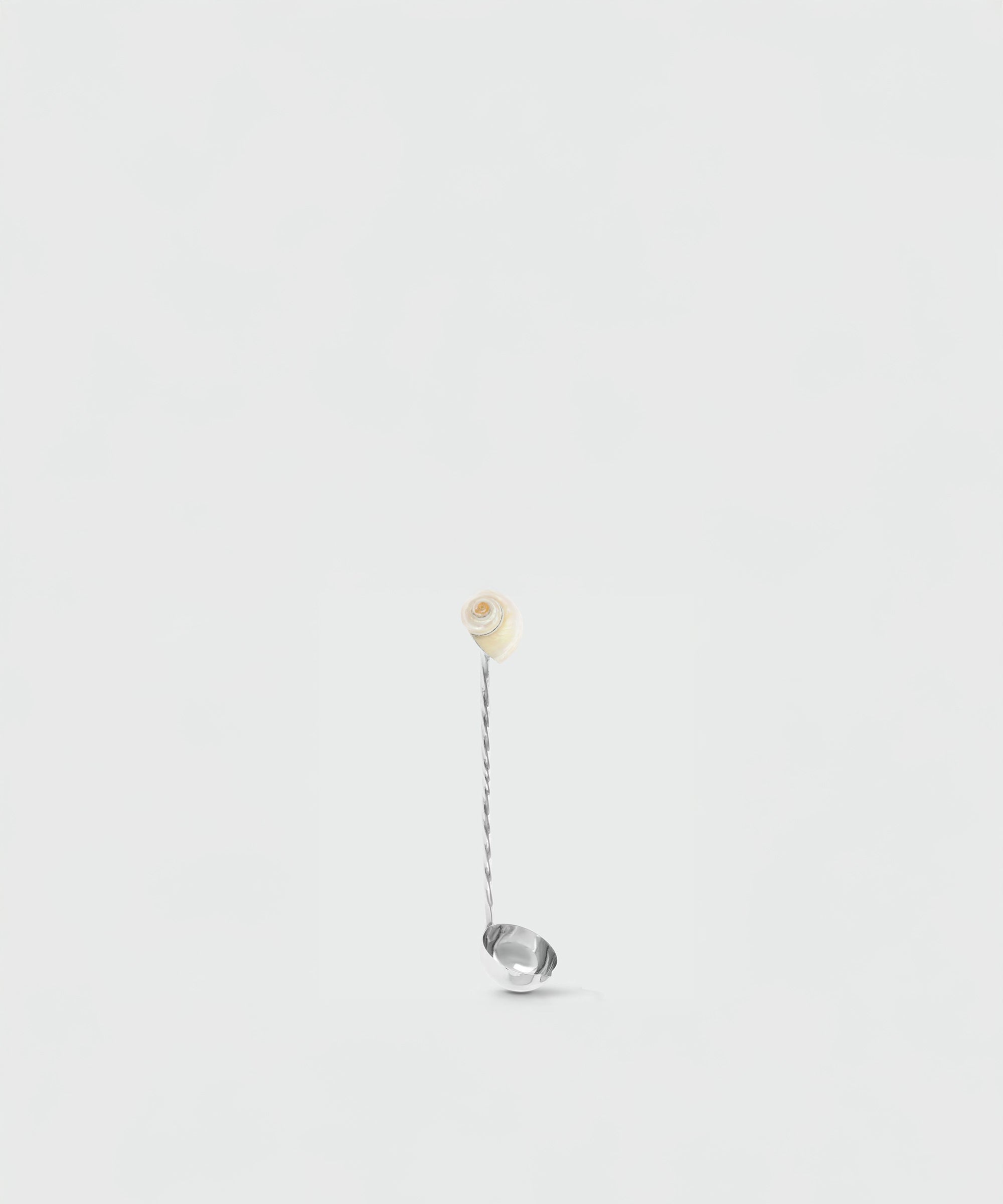 Ladle Spoon