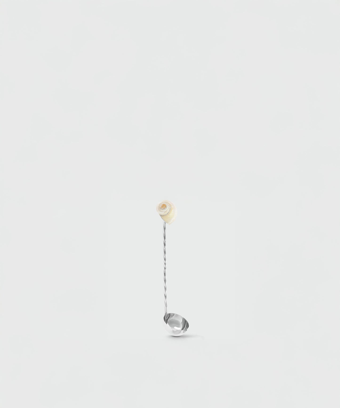Ladle Spoon