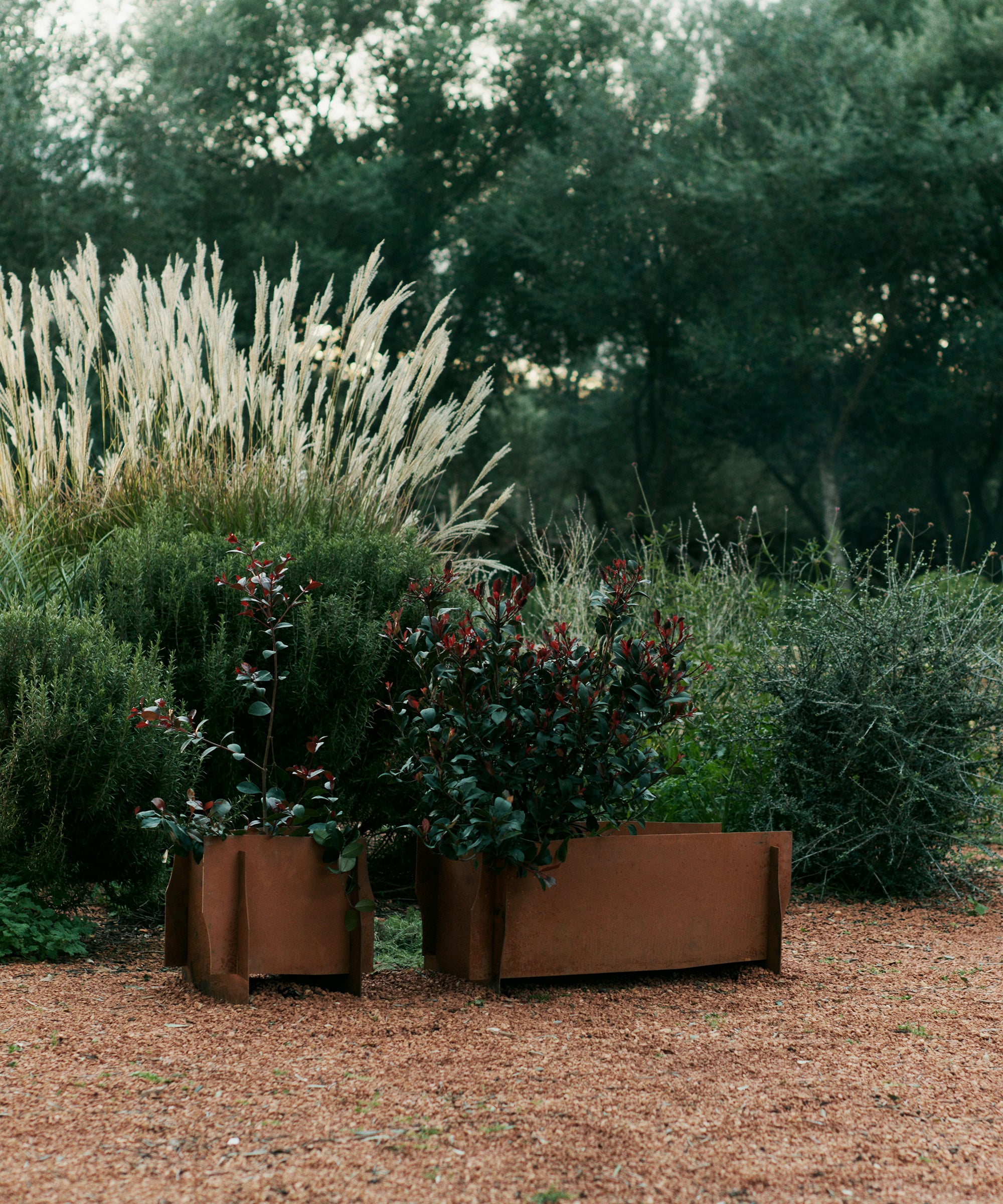 Lapel Planter