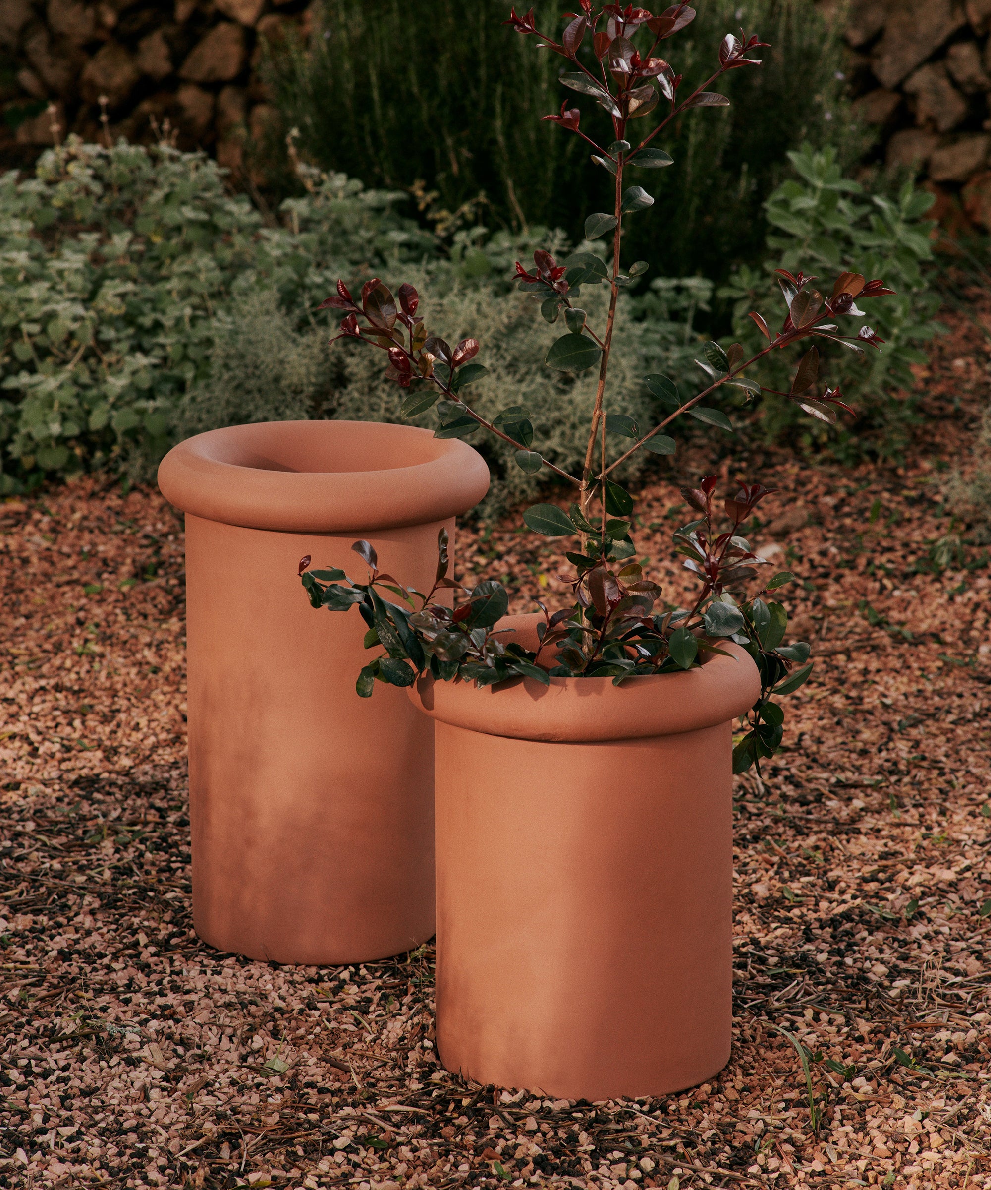 Rollo Pot