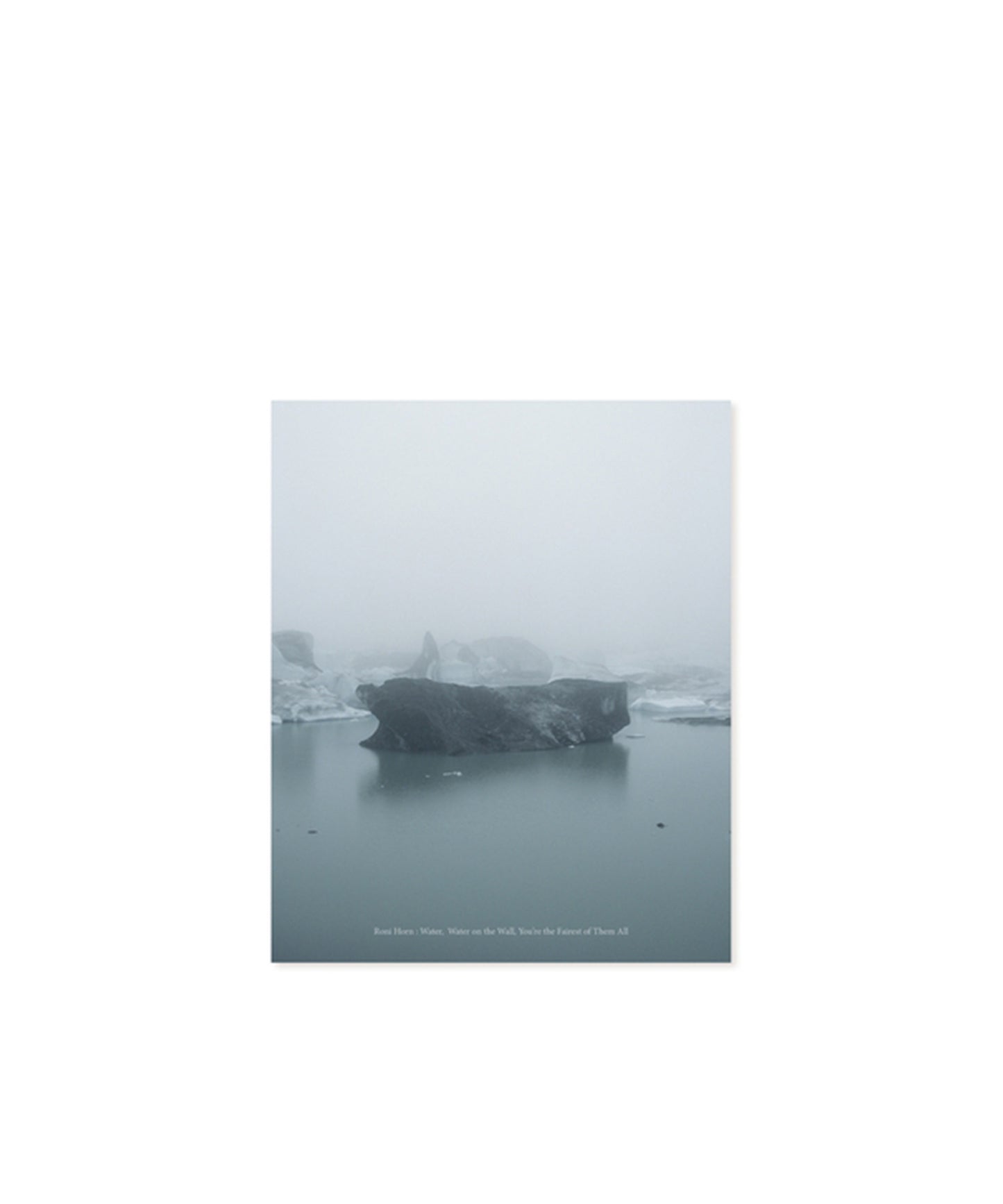 Roni Horn: Water Water on the Wall, You're the Fairest of Them All