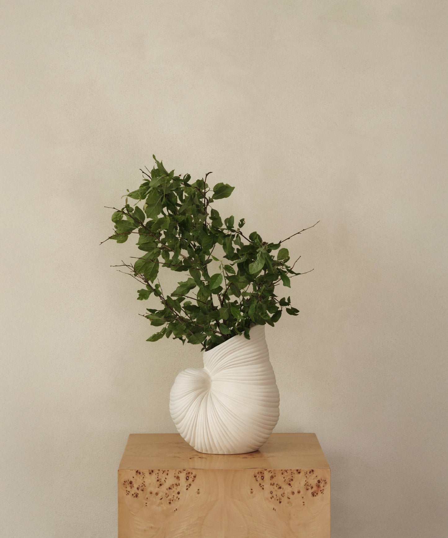 Shell Vase
