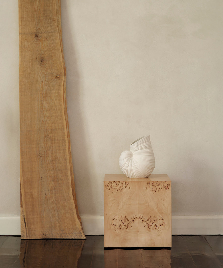 Shell Vase