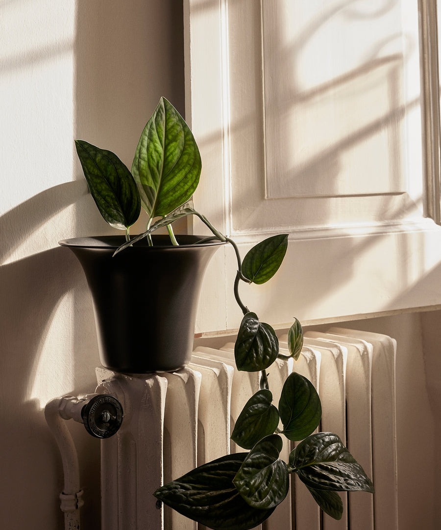Spun Alu Pot