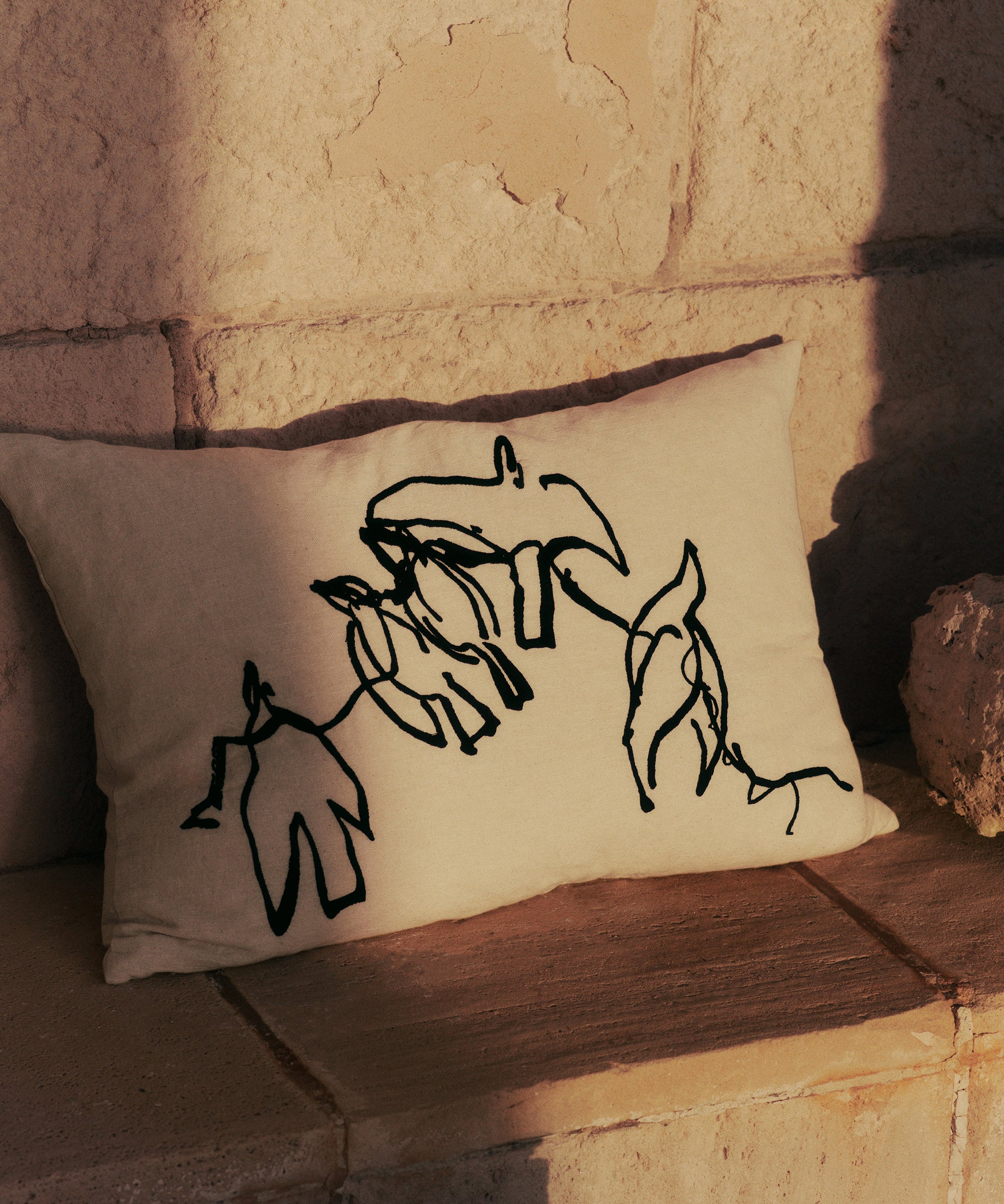 Vuelo Cushion
