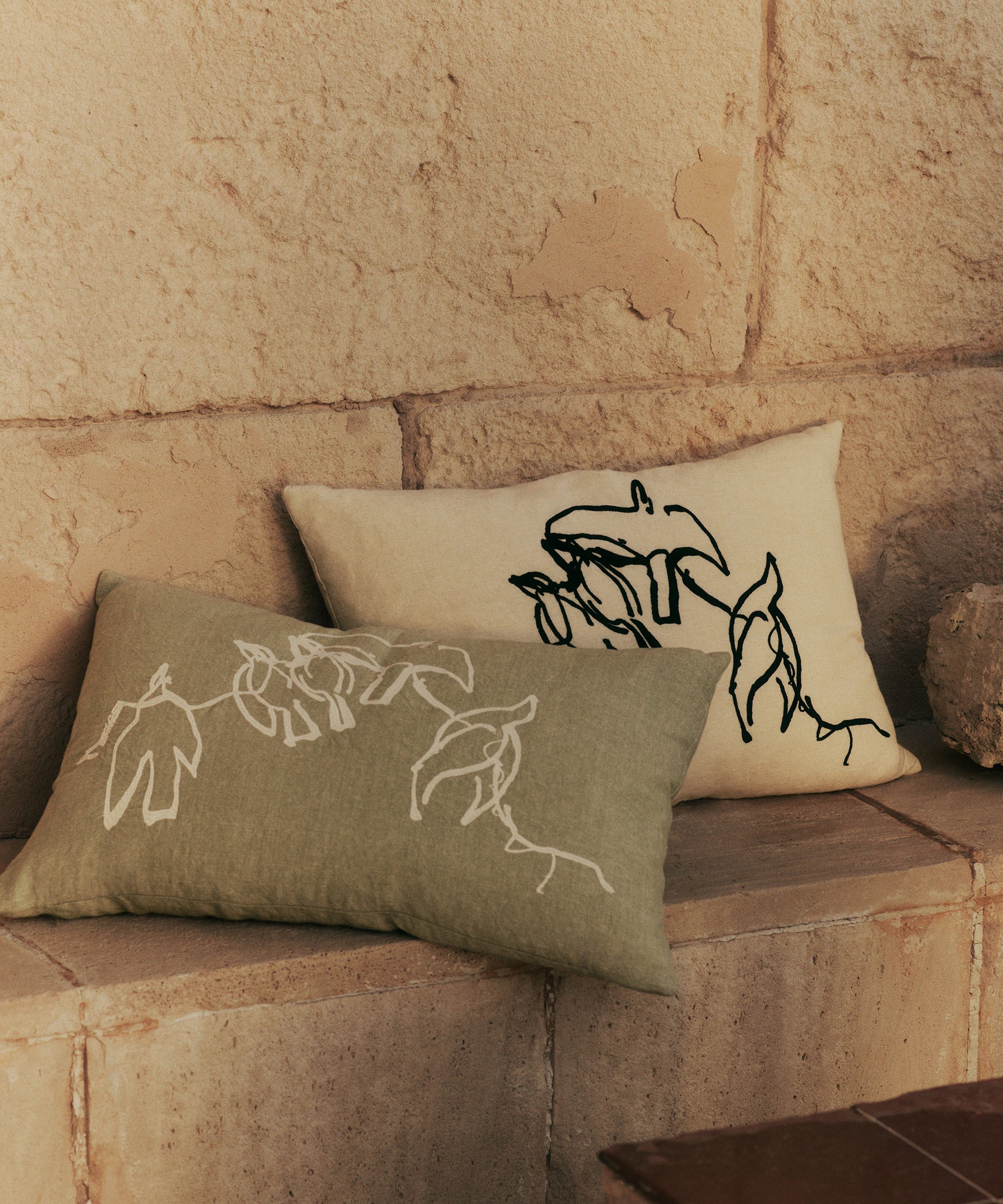 Vuelo Cushion