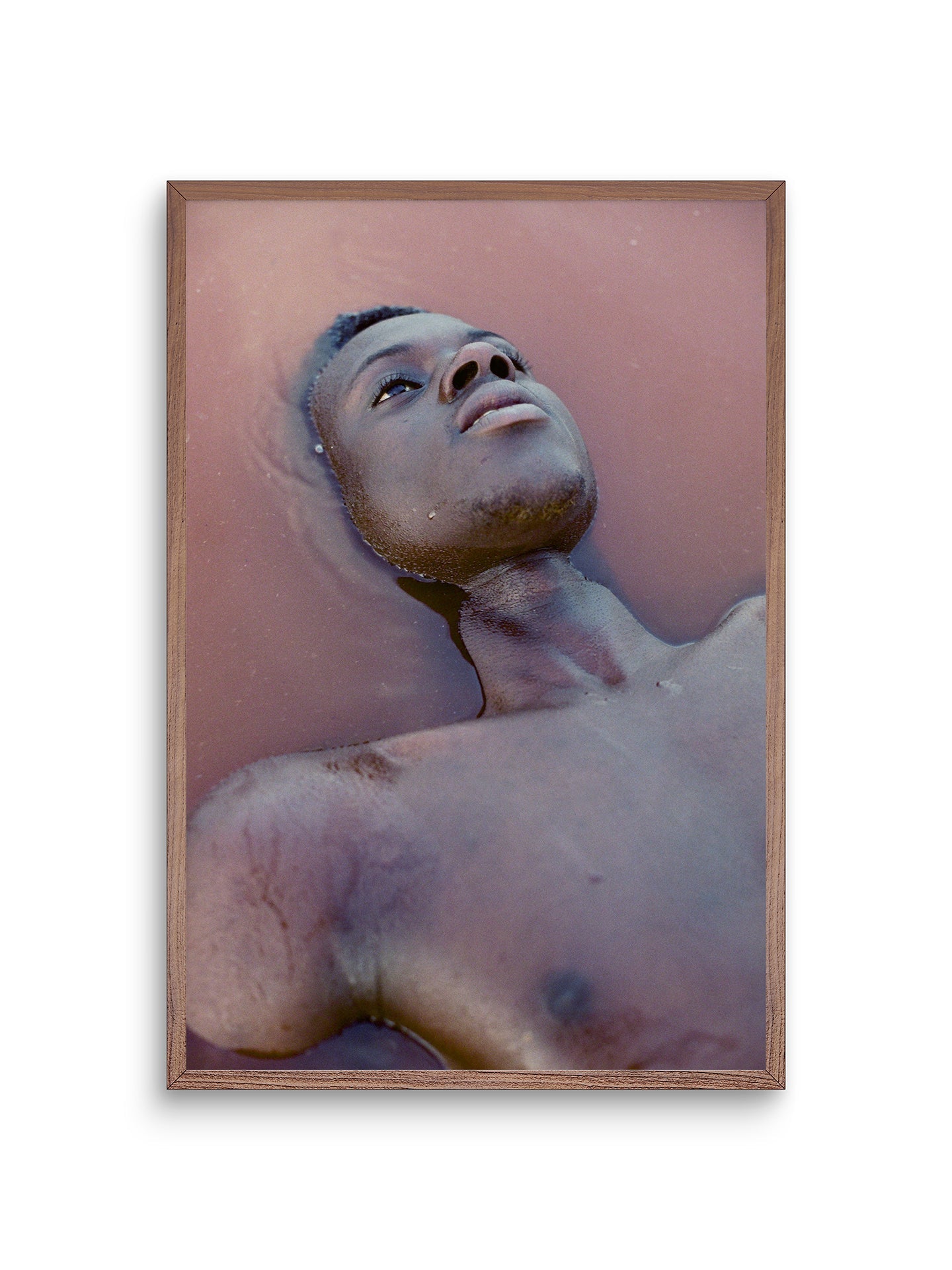 Lac Rose, #4 by Denisse Ariana Perez - Gallery Walnut - 16" x 24" - Sample