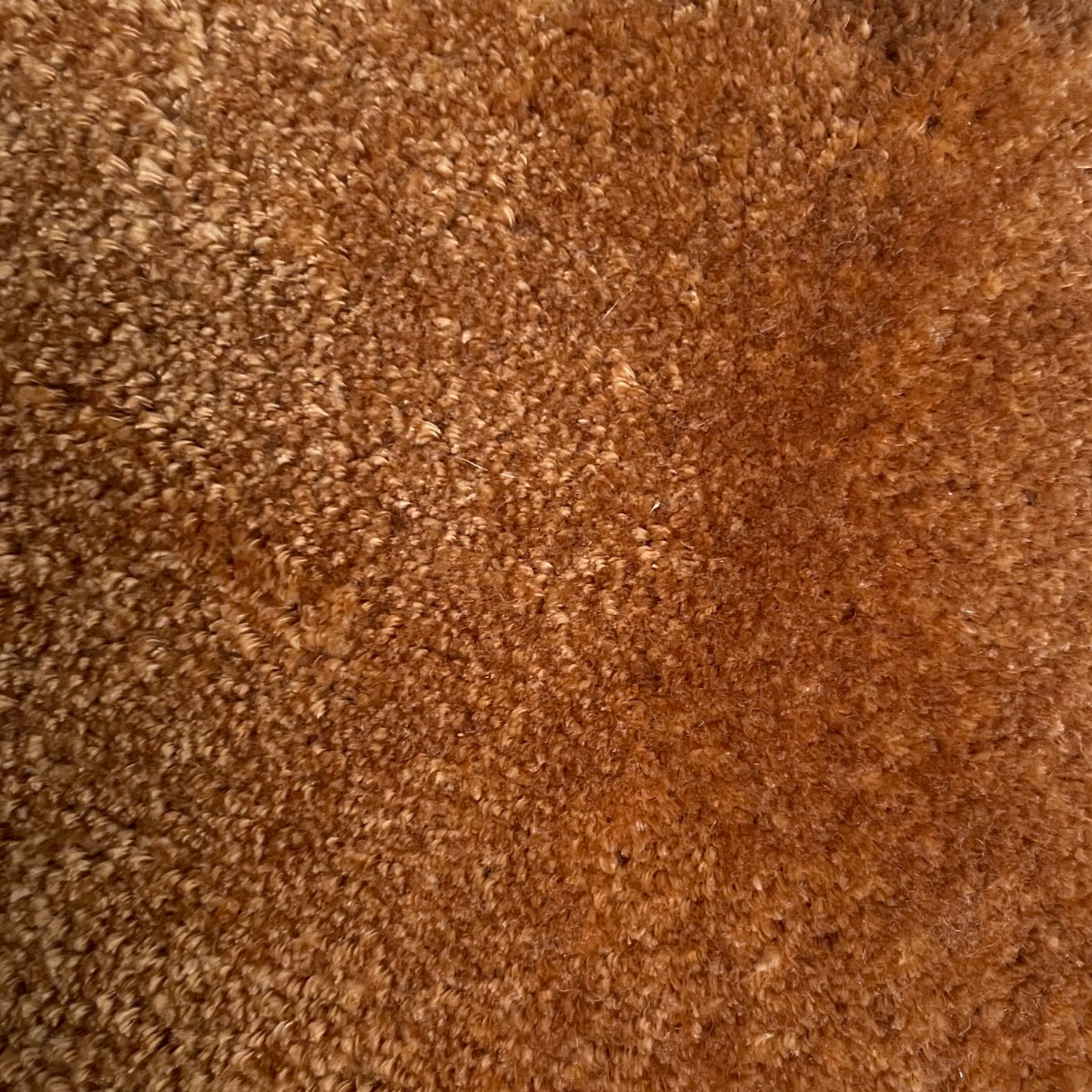 Tencel In Lion