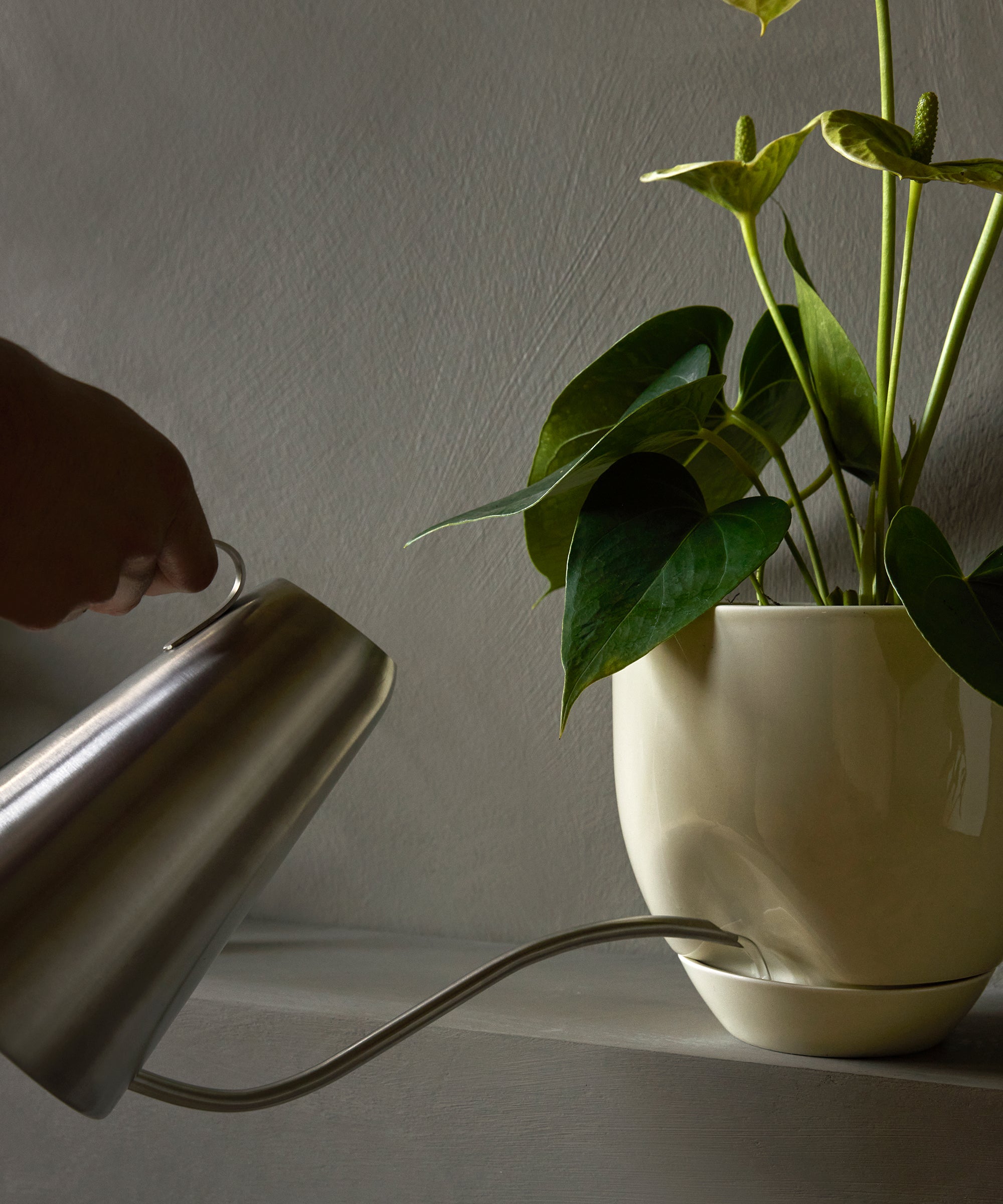 Hydrous Planter