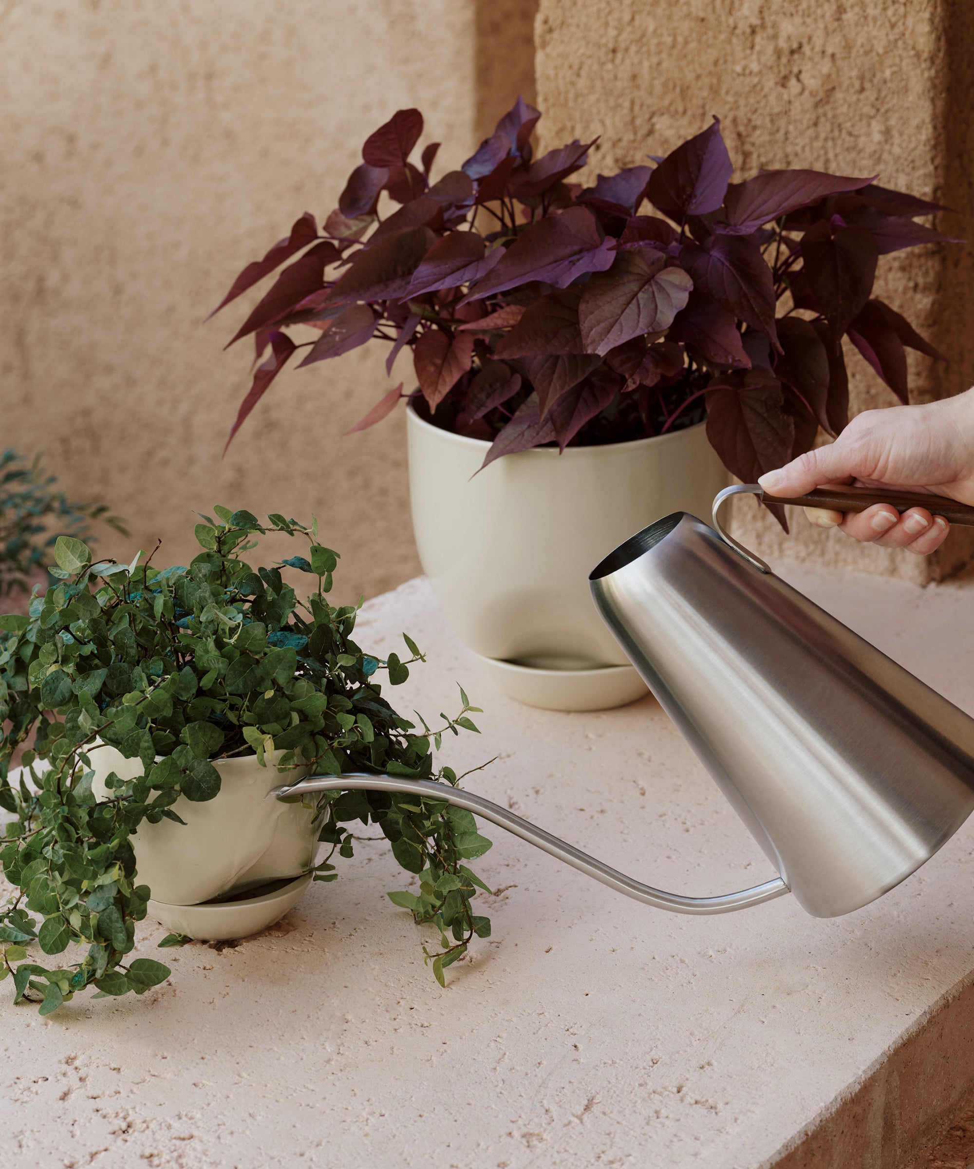 Hydrous Planter